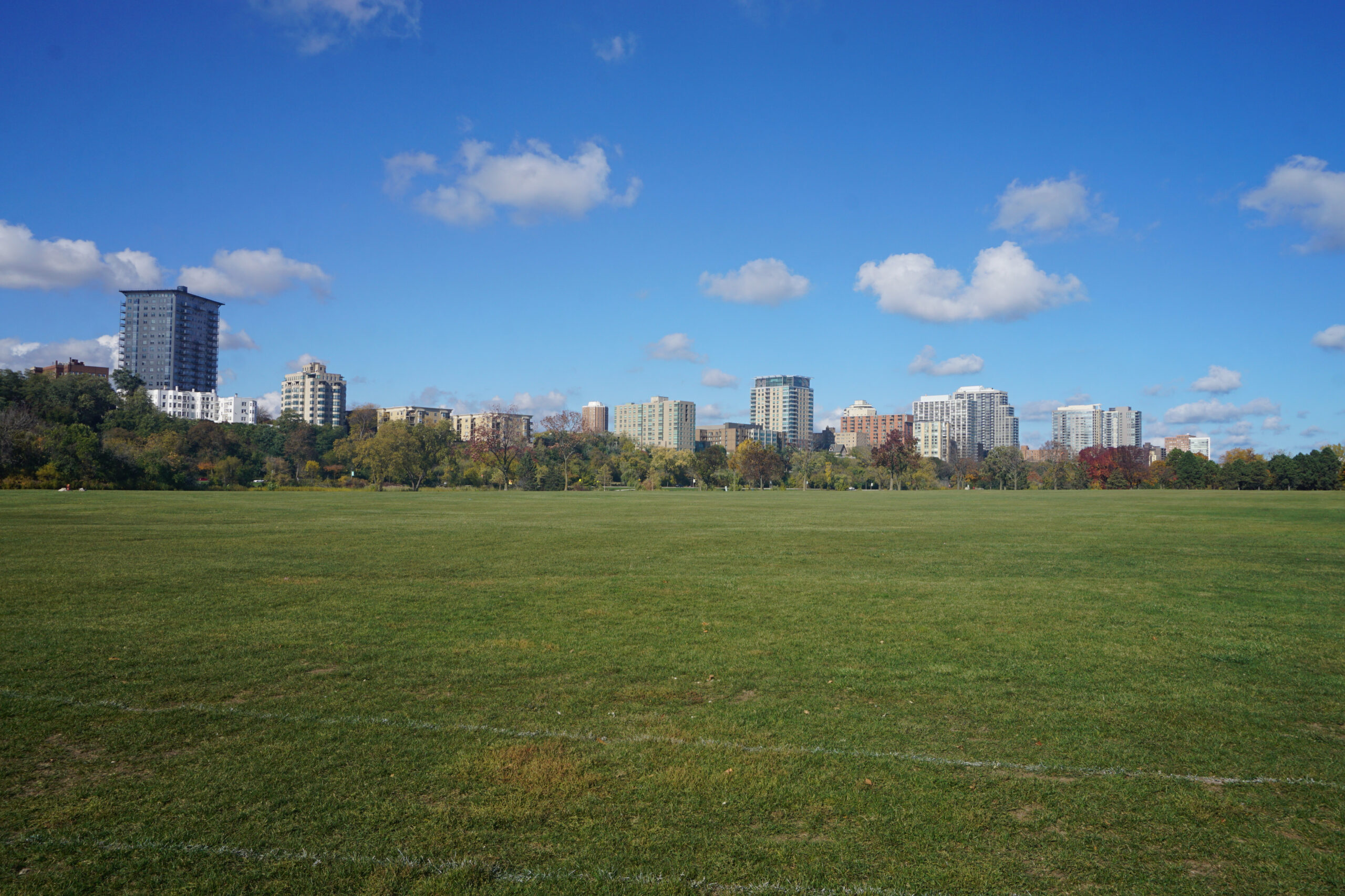 Wide city skyline across a grassy park, with modern high-rise buildings along the horizon beneath a blue, cloud-speckled sky